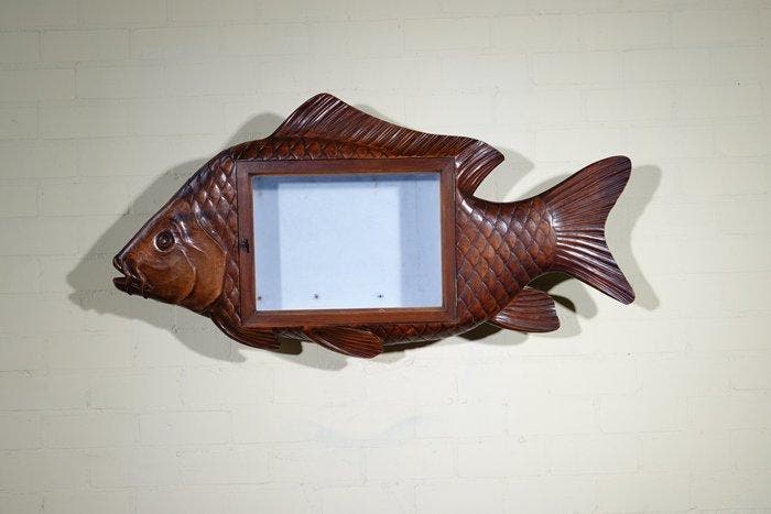 Unusual fish shape vitrine Schedel - wood - 65 cm - 18 cm -, Verzamelen, Dierenverzamelingen