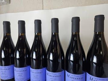 2023 Sylvain Pataille - Marsannay - 6 Bouteilles (0,75 L), Nieuw