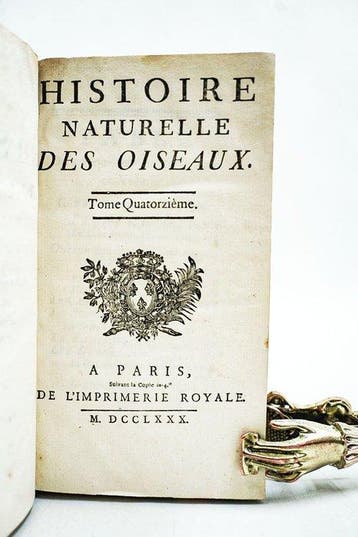 Comte de Buffon - Histoire naturelle des Oiseaux - Histoire