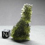 egel Moldavite - 13.82 g
