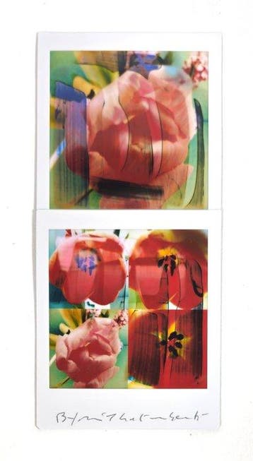 Maurizio Galimberti (1956–) - BiFlowers - 11557