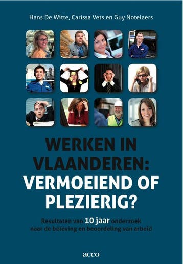 Werken in Vlaanderen 9789033479328 Hans de Witte, Verzenden, Gelezen, Hans de Witte