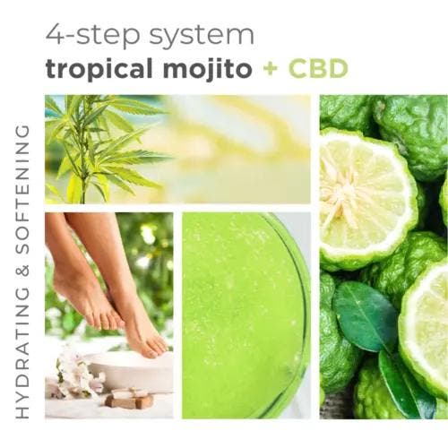 BCL SPA 4 Step Starter Kit (Body Scrub), Bijoux, Sacs & Beauté, Beauté | Soins du corps, Envoi