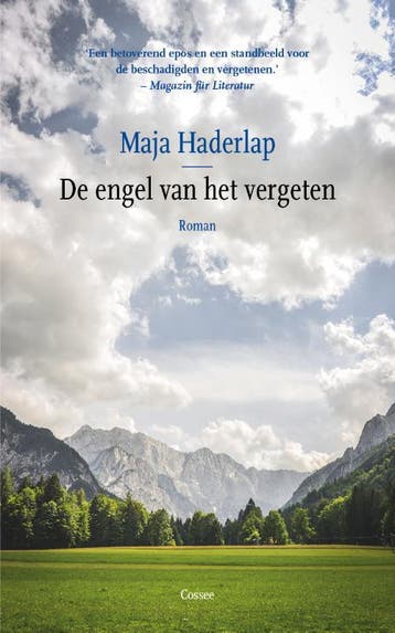 De engel van het vergeten 9789059368576 Maja Haderlap, Verzenden, Zo goed als nieuw, Maja Haderlap
