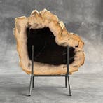 Magnifique tranche de bois pétrifié sur un socle