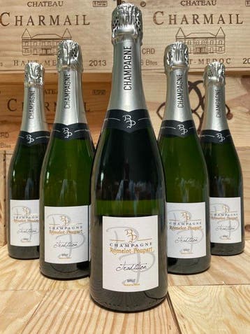 Romelot-Poupart,, Cuvée Tradition - Champagne - 6 Flessen