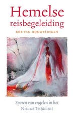 Hemelse reisbegeleiding 9789043535809 Rob van Houwelingen, Verzenden, Zo goed als nieuw, Rob van Houwelingen