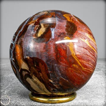 Natuurlijke sfeer van versteend hout- 600.06 g