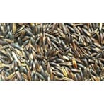 Avoine noire - 20kg (15kg + 5kg gratuite) - sac vrac, Dieren en Toebehoren, Paarden en Pony's | Overige Paardenspullen