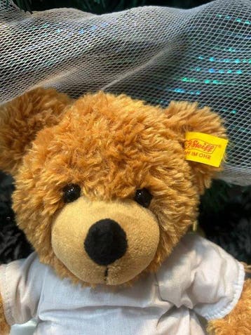 Steiff - Teddybeer - 2020+ - Duitsland