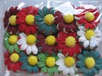 Mulberry Chrysant Christmas mixed ca. 65 mm pak 15 stuks, Nieuw