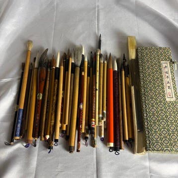 Lot premium de 45 pinceaux vintage pour calligraphie et