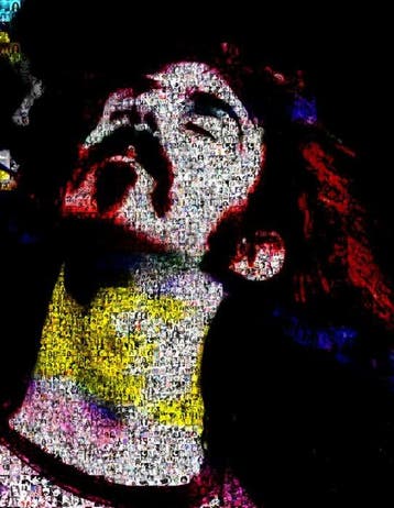 David Law - Crypto Zappa Live