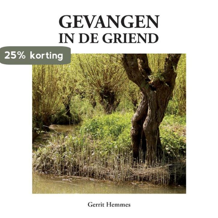 Gevangen in de griend 9789048444359 Gerrit Hemmes, Boeken, Kinderboeken | Jeugd | 13 jaar en ouder, Zo goed als nieuw, Verzenden