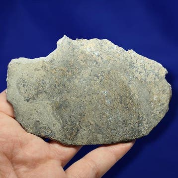 XL, tranche de météorite eucrite. NOUVEAU JIKHARRA 001