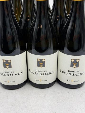 2023 Domaine Lucas Salmon Les Brosses Muscadet - Loire - 12, Nieuw