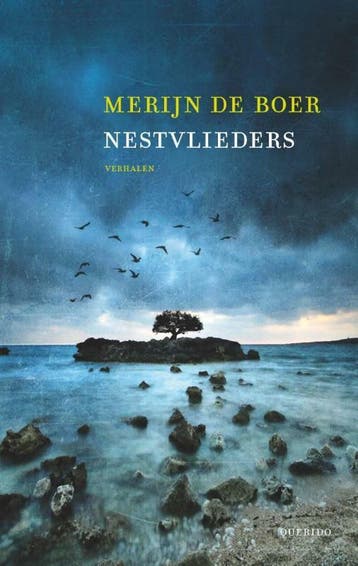 Nestvlieders 9789021406688 Merijn de Boer, Verzenden, Gelezen, Merijn de Boer