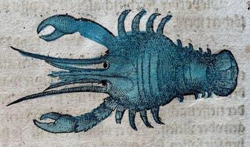 Conrad Gesner - Fischbuch - 1600
