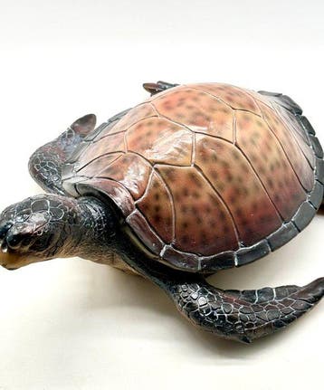 No reserve-Levensecht gelijkend beeld van een waterschildpad