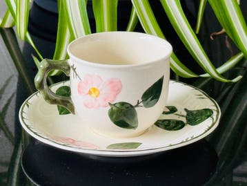 Villeroy & Boch - Service à café (15) - wild-Rose -