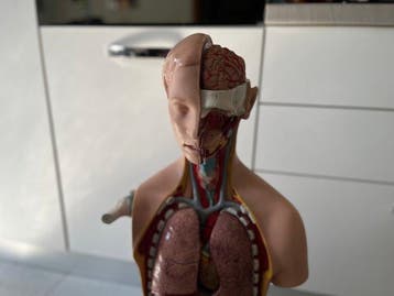 Anémomètre - Plastique, Caoutchouc - 1980-1990 - Torse -