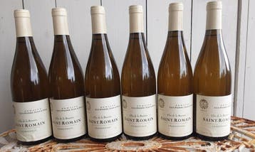 2013 Domaine Guy-Pierre Jean & Fils Clos de la Branière -