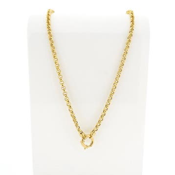 Gouden jasseron schakelketting, Ophalen of Verzenden, Gebruikt, Goud, Goud