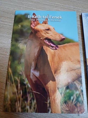 Malte. 2 Euro 2026 Il-Kelb Tal-Fenek + Valletta (2