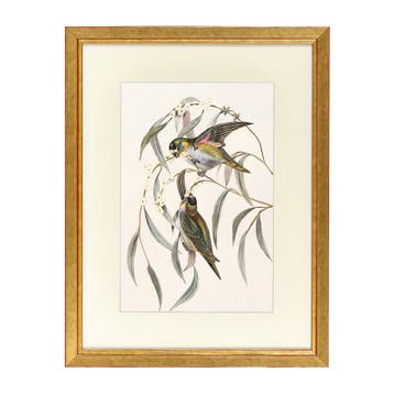 Fotolijst Tropez Goud 50x70 cm, Verzenden, Nieuw