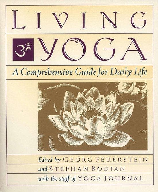 Living Yoga 9780874777291 Stephan Bodian, Boeken, Taal | Engels, Gelezen, Verzenden