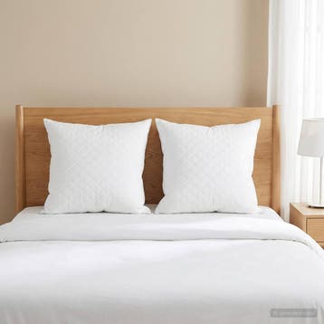 vidaXL Hoofdkussen FULDA 2 st 60 x 60 cm 100% Ganzendons en, Verzenden