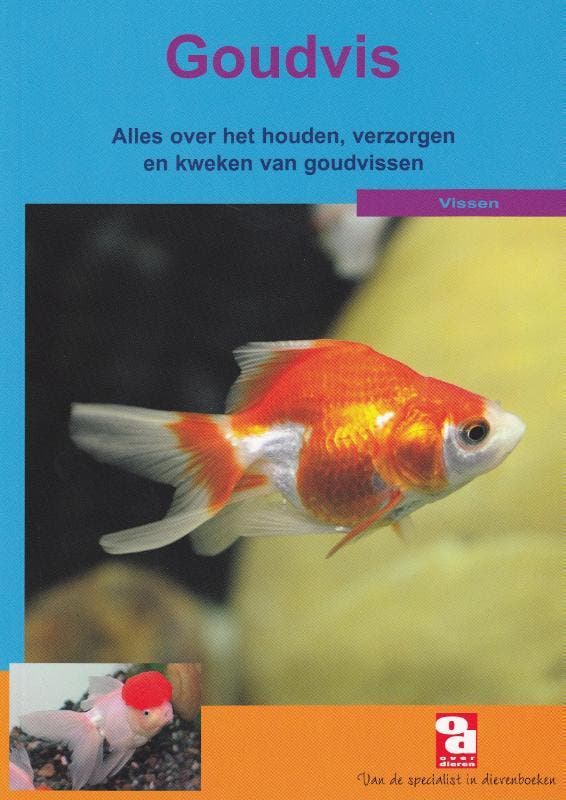De goudvis / Over Dieren / 145 9789058211484, Livres, Loisirs & Temps libre, Envoi
