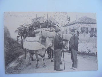 Les attelages - Carte postale (48) - 1900-1940, Collections, Cartes postales | Étranger