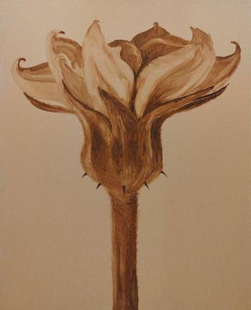 Della Goinne - Plant Portrait No.1 - Solanum Melongena - XL