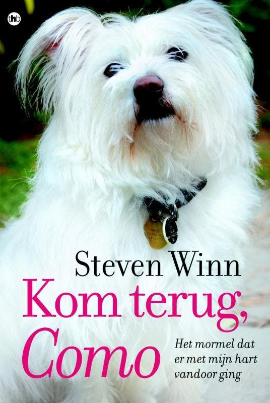 Kom terug, Como 9789044325782 Steven Winn, Boeken, Romans, Gelezen, Verzenden