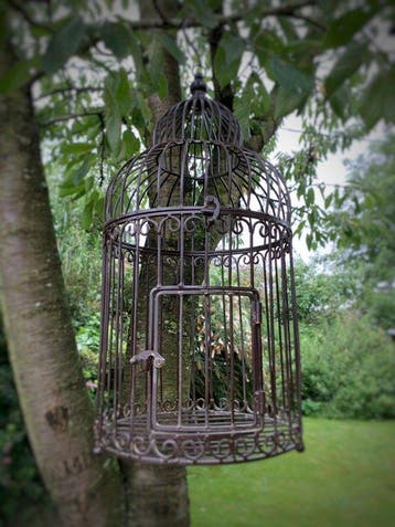 Cage à oiseaux - Métal