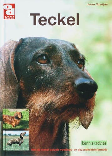 Teckel / Over Dieren 9789058216045 J. Steijns, Verzenden, J. Steijns