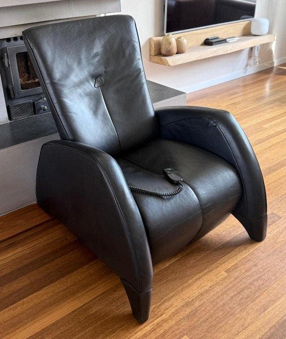 de Sede - Fauteuil - ds25 - cuir de cou - de Sede ds25, Antiek en Kunst, Kunst | Designobjecten