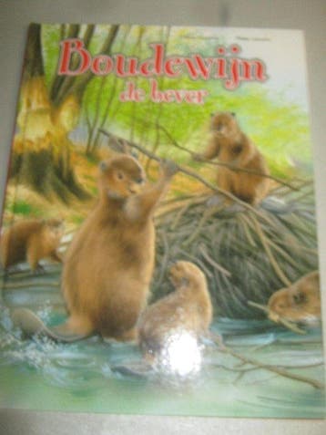BOUDEWIJN DE BEVER 9789041228468, Boeken, Verzenden, Gelezen