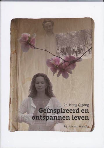 Chi Neng Qigong Geinspireerd en ontspannen leven, Verzenden, Gelezen, P. van Walstijn