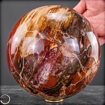 Natuurlijk versteend hout als bol – Intense houtnering in