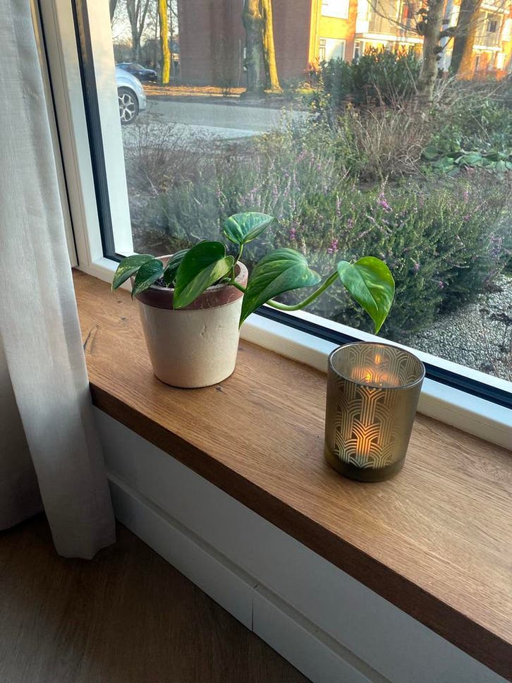 Vensterbank | Massief eiken | Boomstam en recht | Div. afm., Bricolage & Construction, Plinthes & Finitions