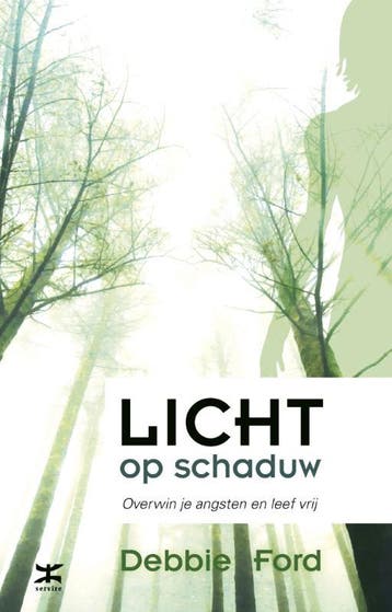 Licht op schaduw 9789021548463 Debbie Ford, Boeken, Verzenden, Gelezen, Debbie Ford