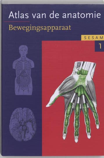Sesam atlas van de anatomie - deel 1 / Sesam atlas van de, Livres, Verzenden, Werner Platzer