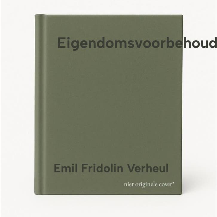 Eigendomsvoorbehoud 9789013146035 Emil Fridolin Verheul, Boeken, Wetenschap, Zo goed als nieuw, Verzenden