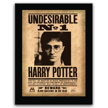 Harry Potter Undesirable No. 1 Sign 30 cm, Verzamelen, Ophalen of Verzenden, Nieuw