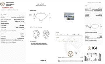 Oorbellen - 14 karaat Witgoud - 3.58ct. tw. Diamant (Fancy, Nieuw