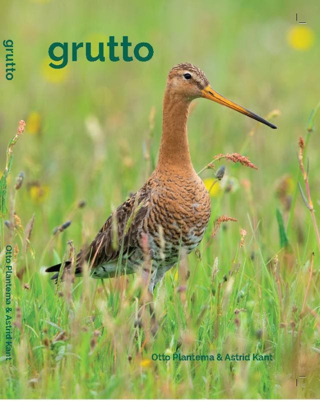 Grutto | Otto Plantema; Astrid Kant | Nieuw, Boeken, Overige Boeken, Nieuw, Verzenden