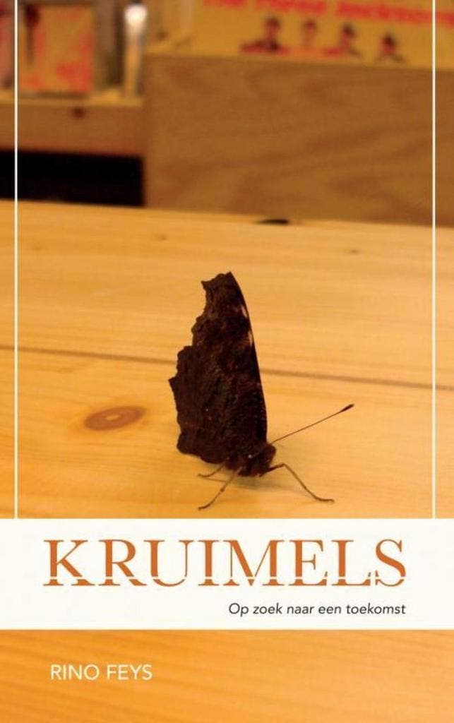 Kruimels 9789463678728 Rino Feys, Boeken, Literatuur, Gelezen, Verzenden