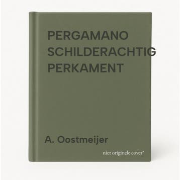 PERGAMANO SCHILDERACHTIG PERKAMENT 9789038412009, Verzenden, Gelezen, A. Oostmeijer